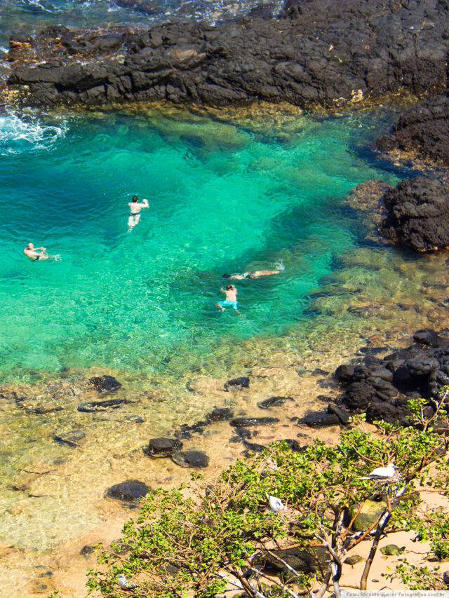 Sim Esse é o aquário mais natural do Brasil Paraíba Destinos